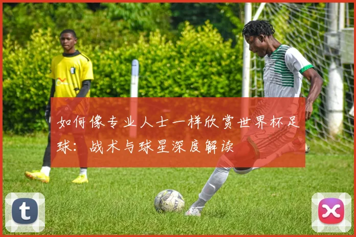 如何像专业人士一样欣赏世界杯足球:战术与球星深度解读