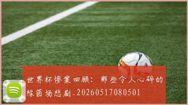 世界杯惨案回顾：那些令人心碎的绿茵场悲剧_20260517080501