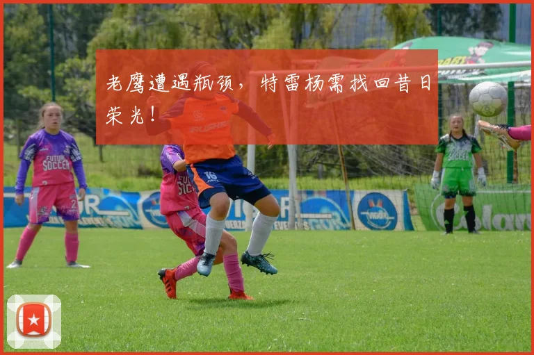 老鹰遭遇瓶颈，特雷杨需找回昔日荣光！